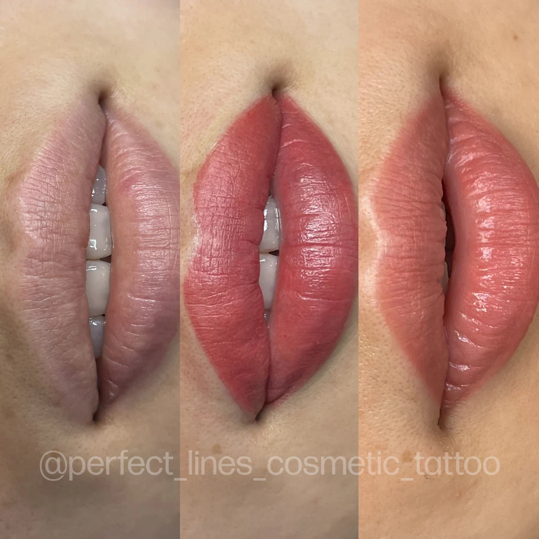 Evenflo Lips Neutralization Pigments