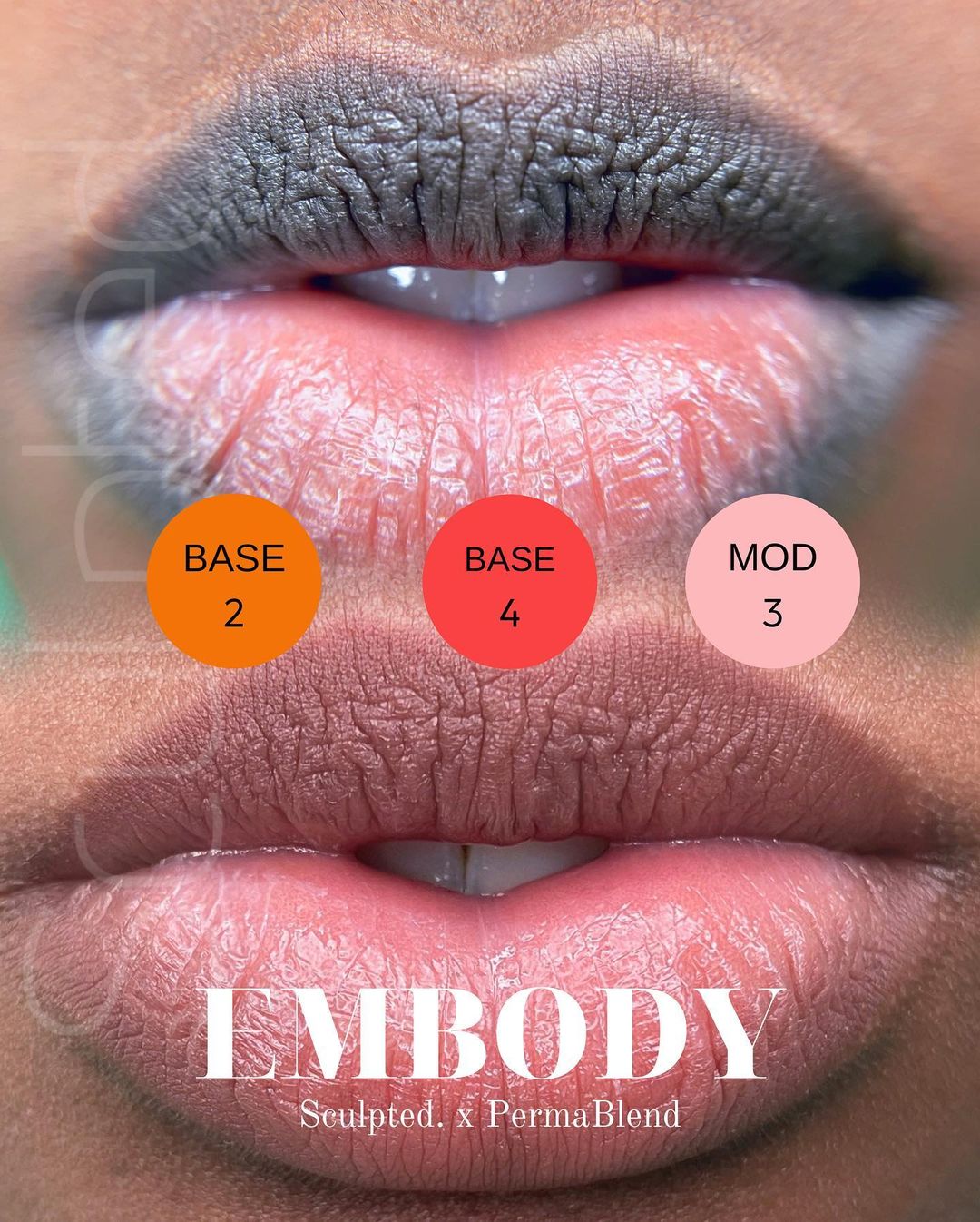 Permablend Embody Set