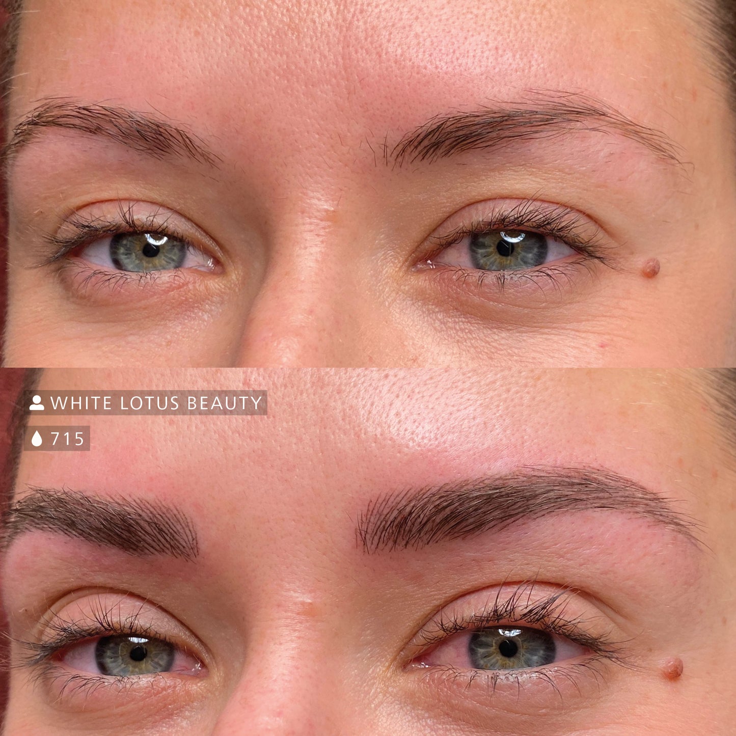 Swiss Color Classic Brows